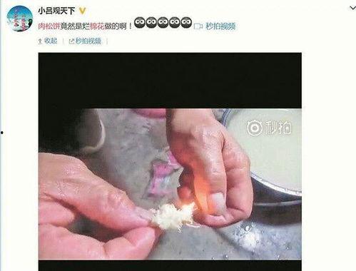 肉松饼爆料视频播放,揭秘网红美食背后的制作过程  第3张 肉松饼爆料视频播放,揭秘网红美食背后的制作过程  第3张
