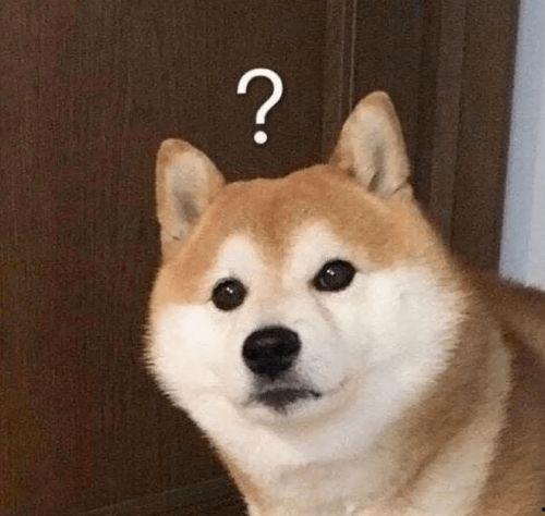 巴哥赤犬爆料了吗视频,背后惊人真相曝光  第1张 巴哥赤犬爆料了吗视频,背后惊人真相曝光  第1张