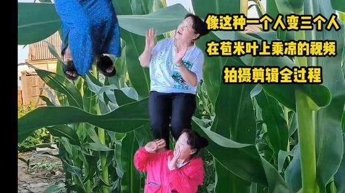 农村玉米爆料视频大全,农村玉米爆料视频大盘点  第3张 农村玉米爆料视频大全,农村玉米爆料视频大盘点  第3张